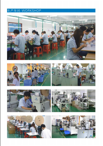 兰博伟业订制环保2468 红白蓝白排线端子线 线束线材加工