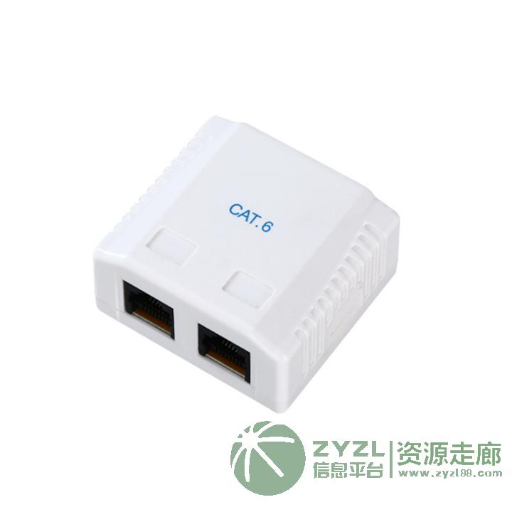 超五类电脑模块CAT5E网络电话信息双口面板
