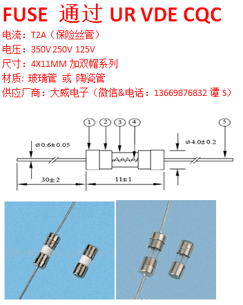 家用电器保健电器用到保险丝电流500MA~6.3A