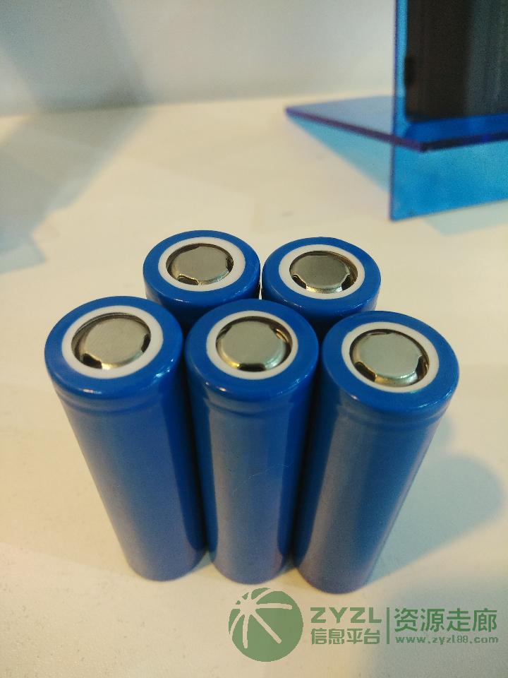 专业生产高端18650锂电芯