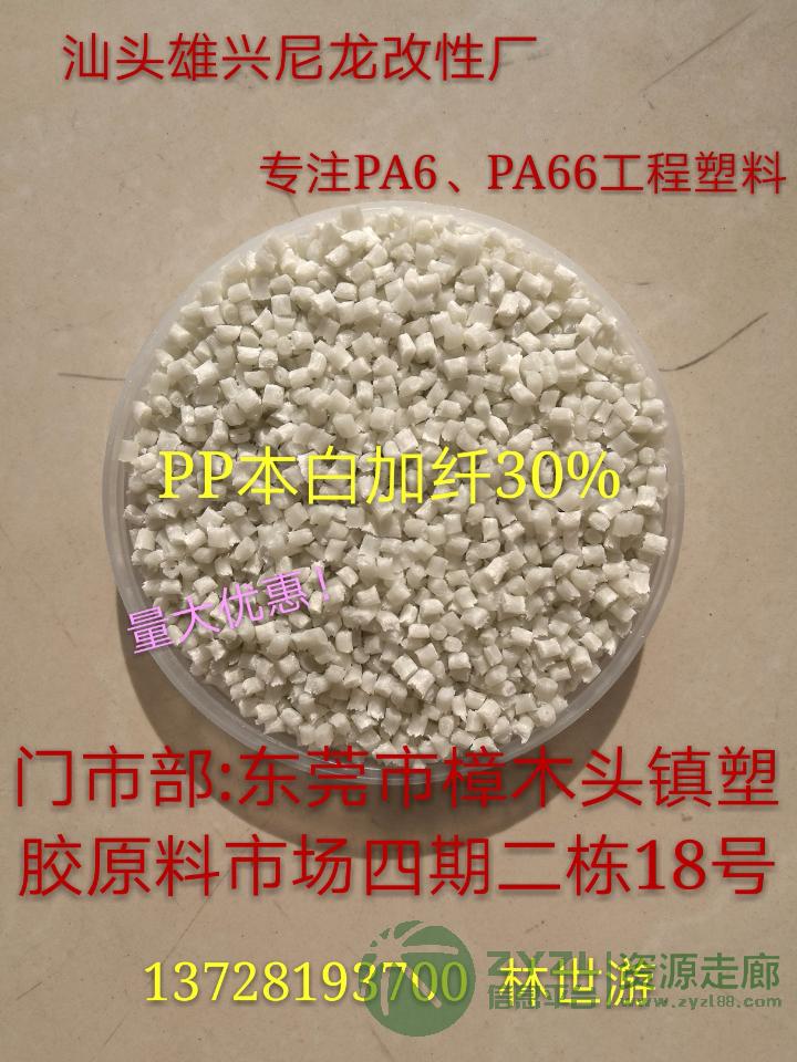 PP本白加纤30%