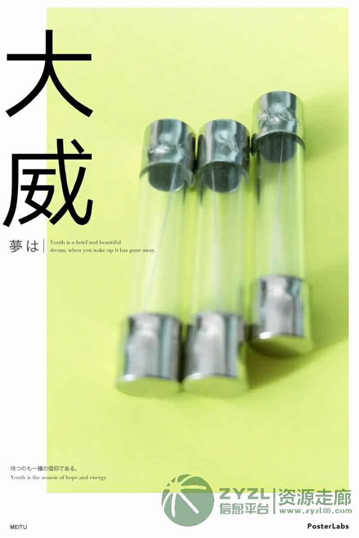 供应电子元器件保护器件6X30保险丝1A-10A