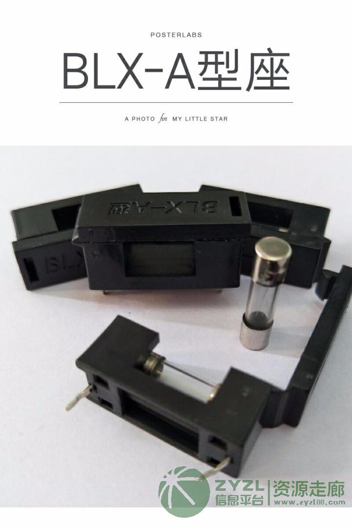 BLX-A型保险丝合