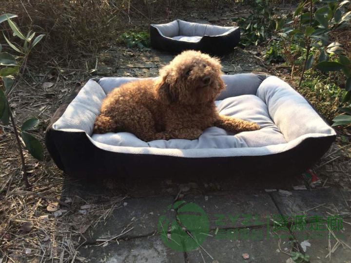 宠物秋冬季透气狗窝床垫 防滑宠物窝 现货批发