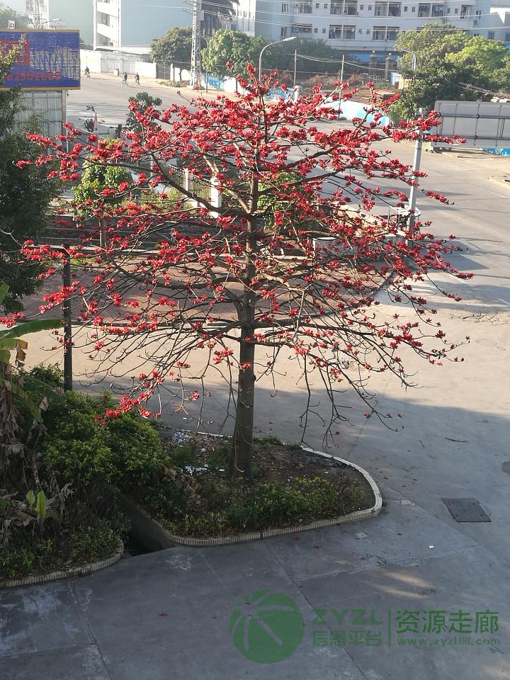 承接各类材质喷油移印加工