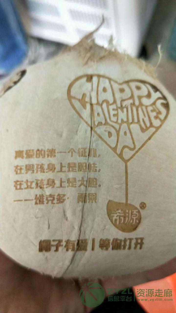 厂家供应硅胶手环木头亚克力二氧化碳激光打标机