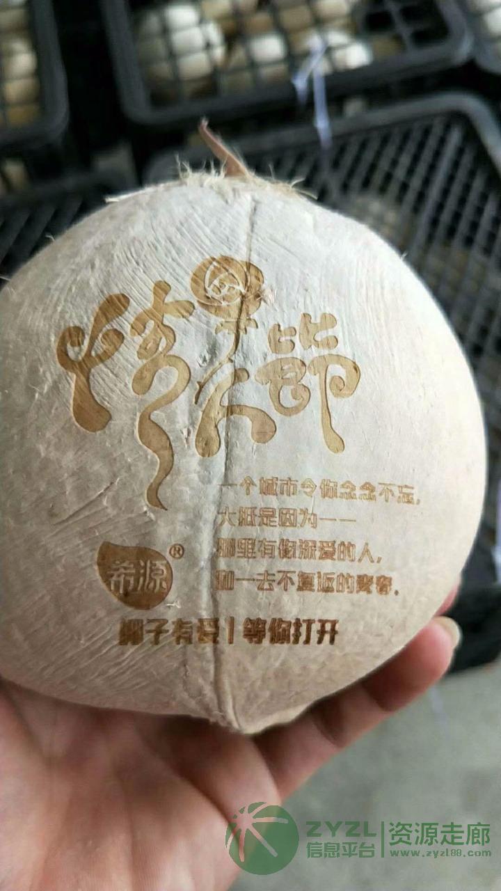 海绵木头亚克力硅胶二氧化碳激光打标机镭雕机厂家直销