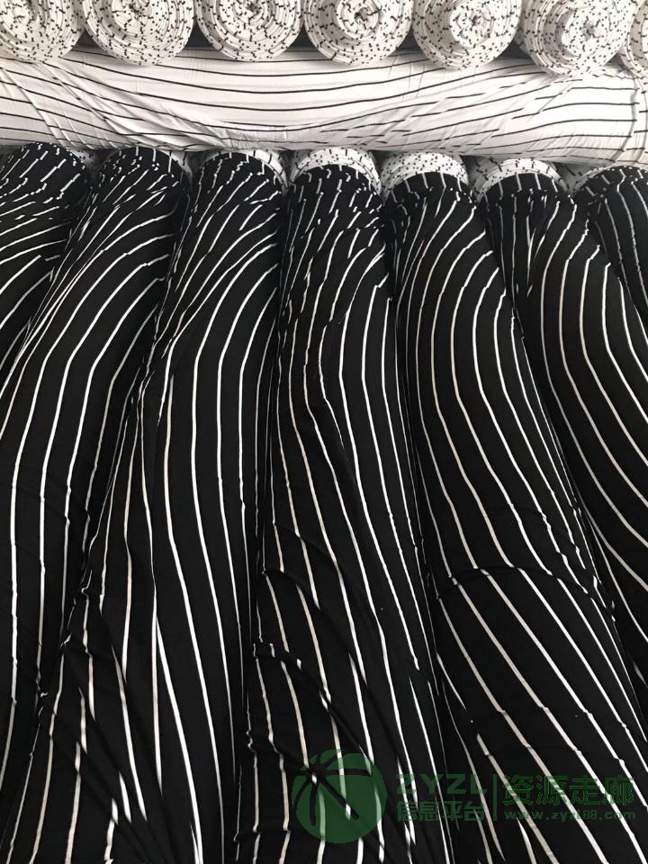 针织涤棉外加氨纶