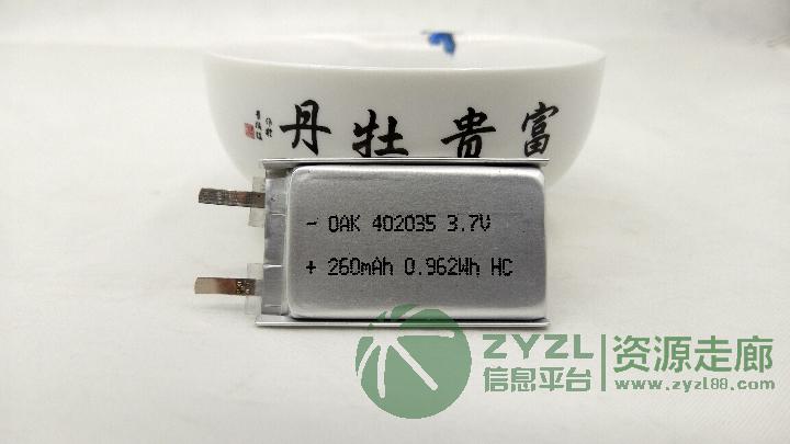 聚合物锂离子电池402030-260mAh