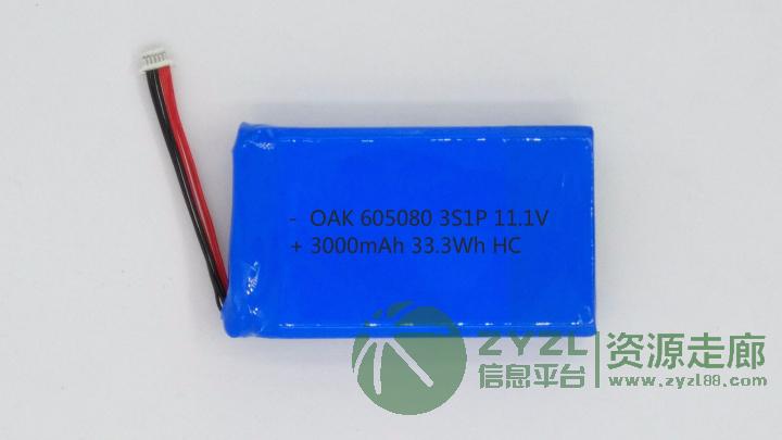 聚合物电池组605080-3000mAh-11.1V投影仪