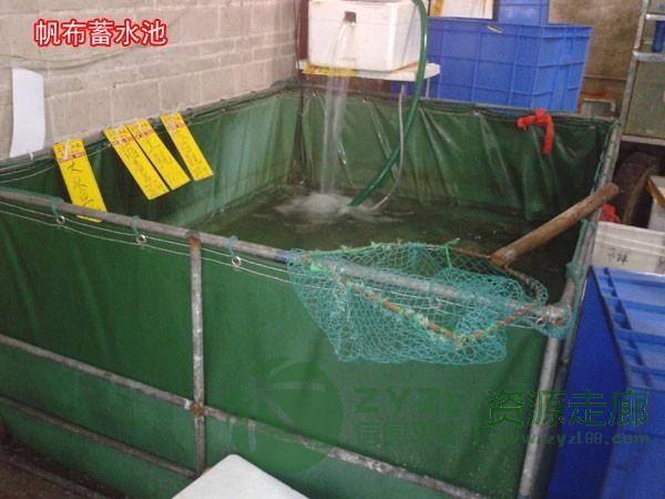 供应油布_防水帆布_批发PVC涂塑布