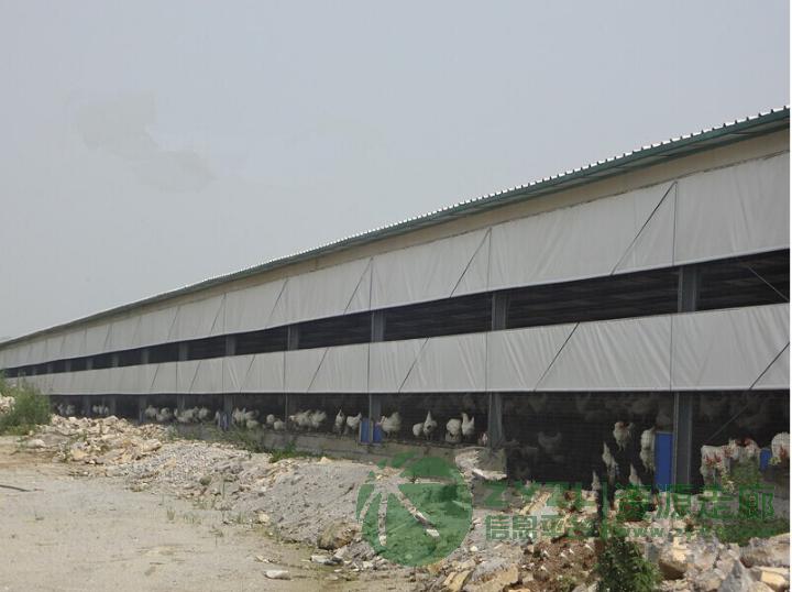 按尺寸加工防雨篷布,抗老化涂塑布,涂层布批发