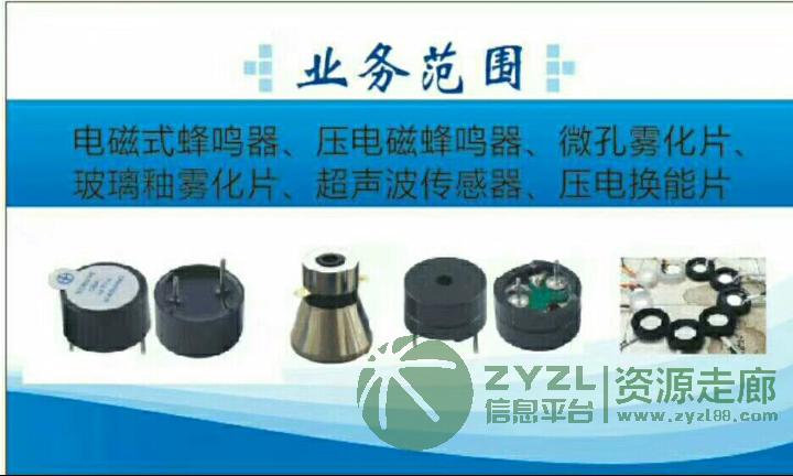 压电试蜂鸣器12065