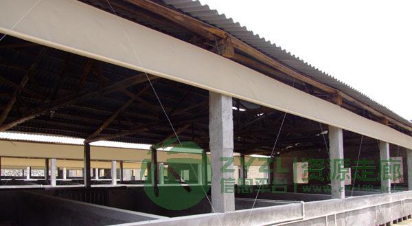 湖南猪场卷帘油布养殖油布篷布厂家直销 猪场卷帘，卷帘，鱼池