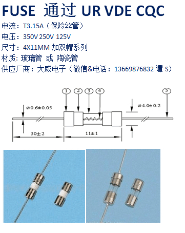广东省供应3T3.15A玻璃管保险丝3.6X10MM加双帽