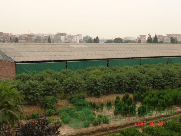 菏泽帆布卷帘价格_生产养殖卷帘_通拓卷帘成品批发