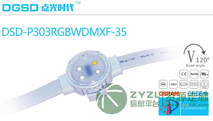 DSD-P303RGBWDMXF-35