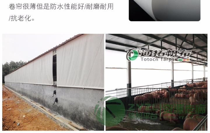 东莞通拓帆布_加工防水卷帘_猪舍卷帘