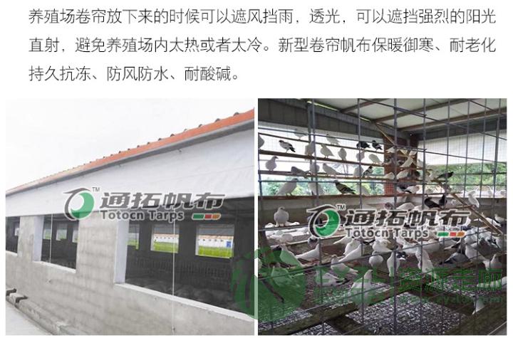 苏州防水帆布_供应养殖卷帘_加工汽车篷布